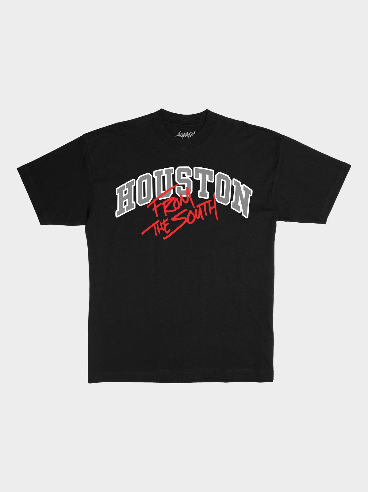 HOUSTON FROM THE SOUTH - (BLK)