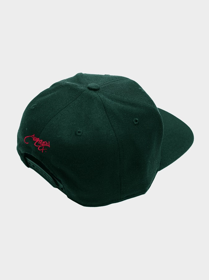 FROM THE SOUTH - GRN SNAPBACK