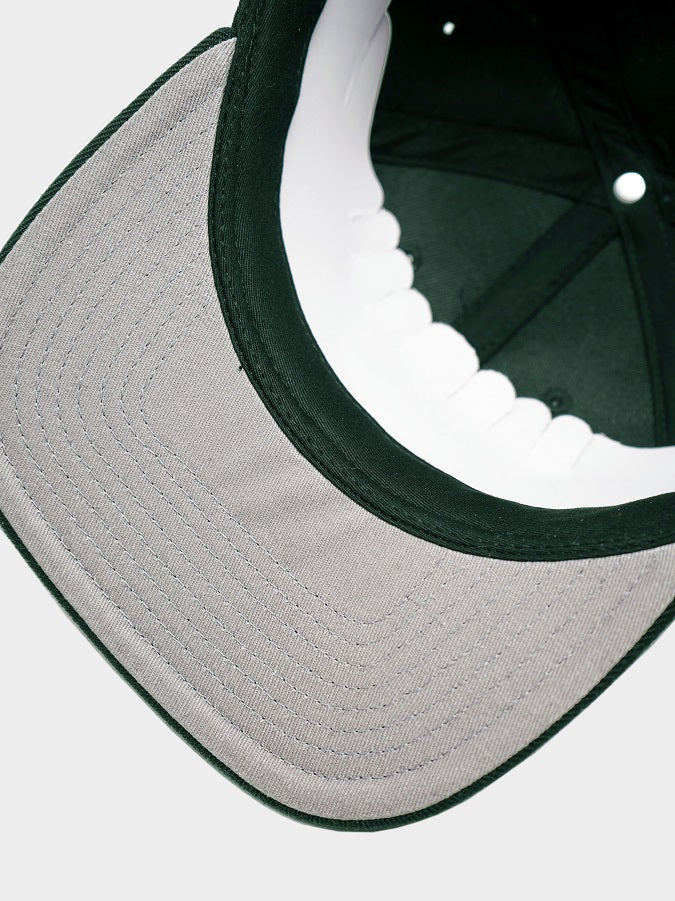 FROM THE SOUTH - GRN SNAPBACK